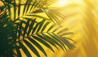 AI generated palm leaf silhouette on a yellow background photo