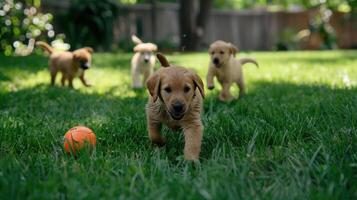 ai generado cachorros retozar en lozano verde césped con pelota, cruz meneando con emoción foto