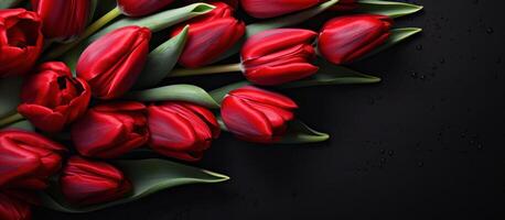 AI generated Red tulips on a black background photo