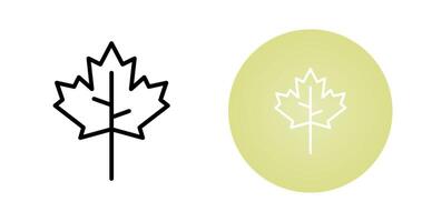 Maple leaf Vector Icon