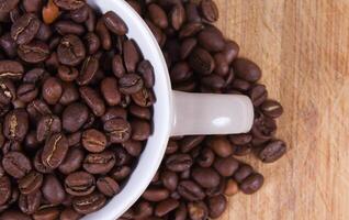 coffee beans closeup photo