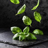 flying fresh natural basil leaves on black stone background photo