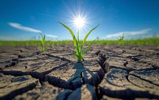 AI generated Conceptualizing Life Persistence with a Plant in Rifted Soil photo