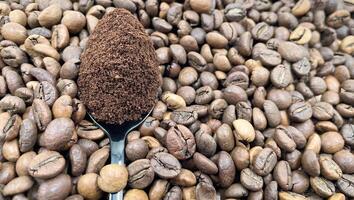 Against the background of roasted aromatic coffee beans lies a metal spoon filled with ground coffee. A drink made from roasted and ground beans from the coffee tree or coffee bush. photo
