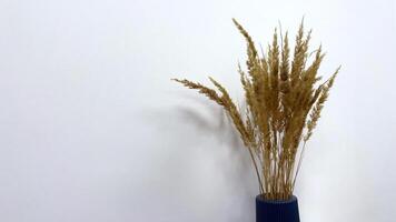 Stylish modern blue vase on a wooden table with a bouquet of dried flowers against a white wall. Accessories for interior home decor. Minimalist vase. Simplicity. photo