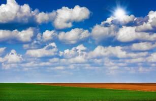 Field and sky photo