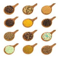 Spices and seeds photo