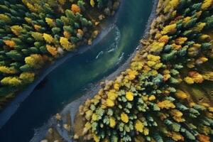 AI generated An Aerial Perspective of a Serene River Flowing Through a Verdant Forest Canopy Created With Generative AI Technology photo