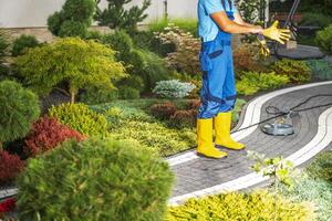 Backyard Brick Paths Pressure Washing Performed by a Worker photo