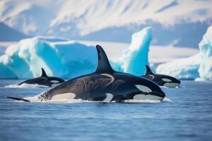 ai generado un espectacular vaina de asesino ballenas se mueve graciosamente mediante impresionante polar hielo formaciones hielo icebergs bloquear el camino a calentar aguas foto