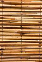 A  Bamboo background photo