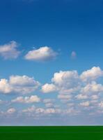 Field and sky photo