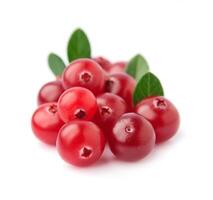 Berries of cranberries closeup. photo