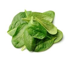 Spinach leaves on white backgrounds photo