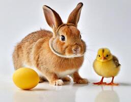 AI generated bunny, chick and egg. photo