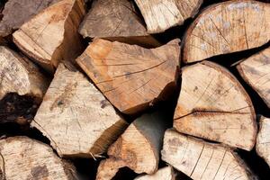 Stack of firewood photo