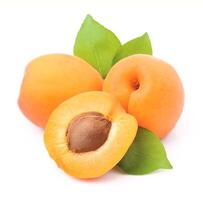 Sweet apricots on white backgrounds photo