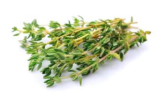 Thyme herbs on white backgrounds photo