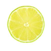 Lime slice on white photo