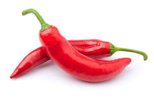 Chili pepper on white backgrounds photo