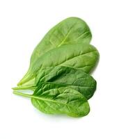 Spinach leaves on white backgrounds photo