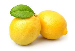 Lemon fruits on white backgrounds photo