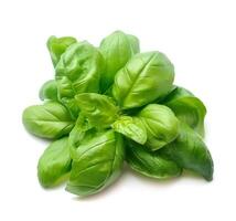 Basil leaves on white backgrounds. Healthy food photo