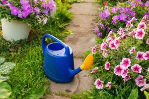 Farm worker gardening tools. Blue plastic watering can for irrigation plants placed in garden with flowers on flowerbed and flowerpot on sunny summer day. Gardening hobby agriculture concept photo