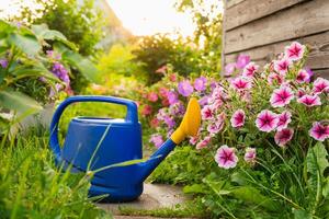 Farm worker gardening tools. Blue plastic watering can for irrigation plants placed in garden with flowers on flowerbed and flowerpot on sunny summer day. Gardening hobby agriculture concept photo
