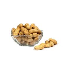 Groundnuts on white photo