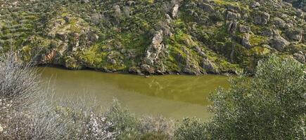 fantástico ver terminado el douro río, en el Noreste de Portugal. maravilloso excursiones. foto