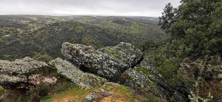 detalle de paisaje en del nordeste Portugal. maravilloso viaje y naturaleza. foto