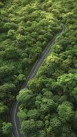 ai generado aves ojo tranquilidad, aéreo ver de la carretera corte mediante bosque en sereno paisaje, capturado en estricto parte superior ver foto