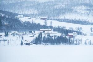 Scandinavian village on hill in blizzard on winter at Lofoten islands photo