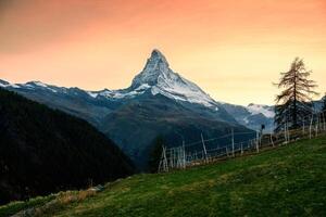 puesta de sol cielo terminado materia montaña en suizo Alpes y puesto de oveja en ladera en rural escena foto