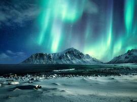 Aurora borealis, Northern lights over snow mountain range on coastline at Skagsanden beach, Lofoten islands photo