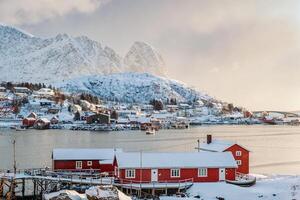 ver de nórdico pescar pueblo en línea costera con nieve cubierto montaña en invierno a reine ciudad, lofoten islas, Noruega foto