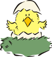 anatra uova schiudere Pasqua png