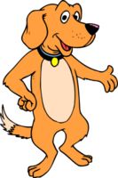 Cute dog standing png