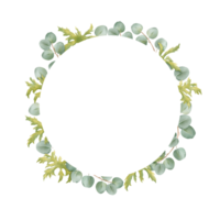 A minimalist circular frame composed of anemone leaves and eucalyptus branches. for invitations, greeting cards, posters, and social media graphics, adding an elegant touch to any project png