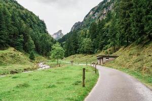 Pathway of hiking trail in the valley during summer photo