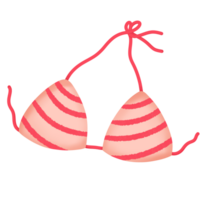 nadando traje, bikini png