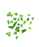 AI generated illustration of falling clover leaves ai generated png