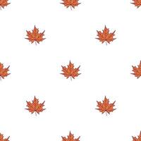 Vector seamless pattern of maple fall leaves