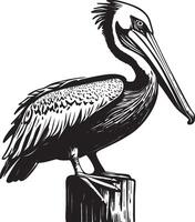 AI generated Pelican Standing on a Dock Post Illustration vector