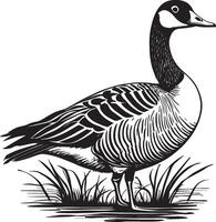 AI generated Canadian Goose Illustration vector