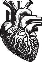 AI generated Realistic Heart Illustration vector