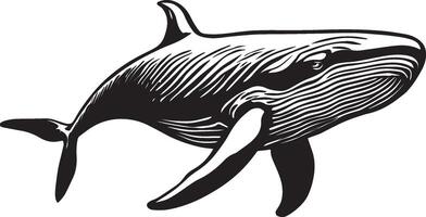 AI generated Whale Lineart Illustration vector