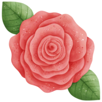 aguarela vermelho rosa ilustração png