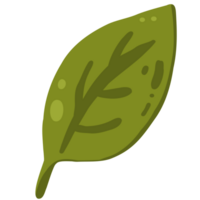 grönt blad illustration png